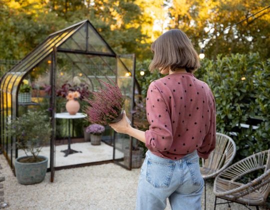 Cum alegi pavilionul perfect pentru grădina ta