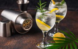 7 rețete de cocktailuri cu gin