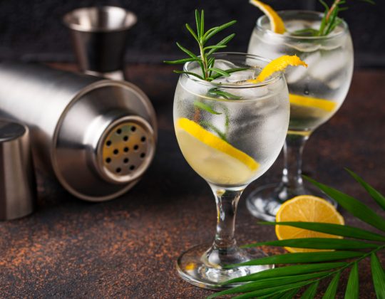 7 rețete de cocktailuri cu gin